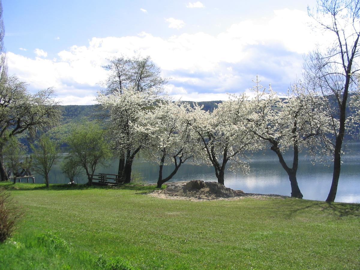 Camping Neubauer - Mobilheime Millstatt Bagian luar foto
