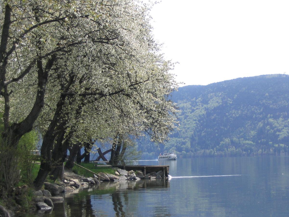 Camping Neubauer - Mobilheime Millstatt Bagian luar foto