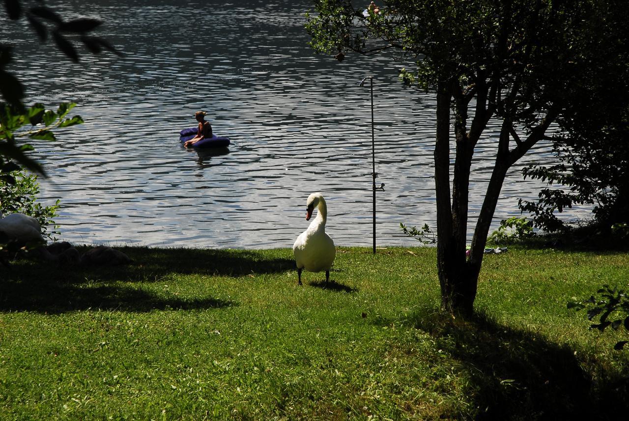 Camping Neubauer - Mobilheime Millstatt Bagian luar foto